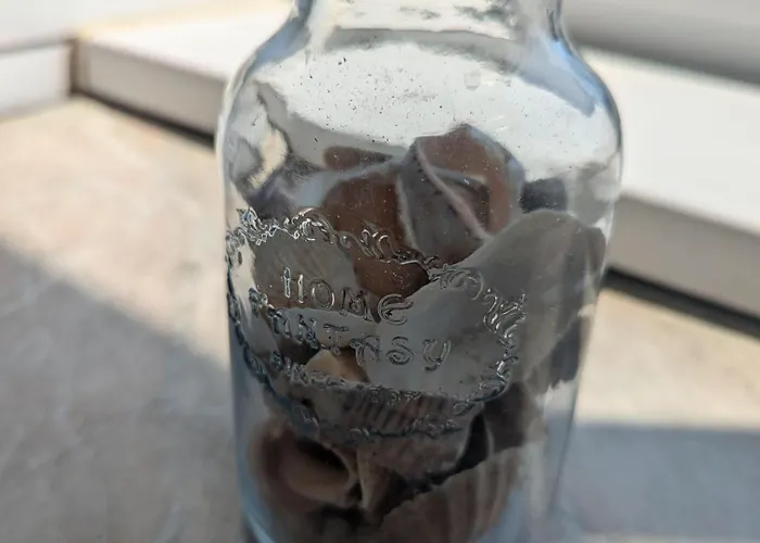 شقة Sunny Cozy Flat In The Centre, Close To Beach, 4 Rooms, 105sqm فارنا